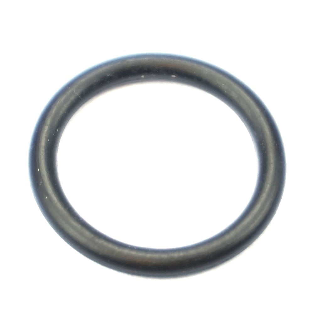 O-Ring Ø15mm für TRUSTERS / REMO POWERLIFT
