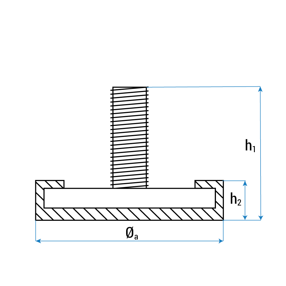 Gummiteller Aufnahme